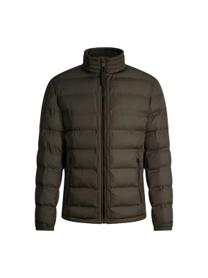 Foto van product STRELLSON Winterjas olijfgroen