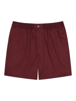 Foto van product Studio Seidensticker Broek ' Studio ' rood