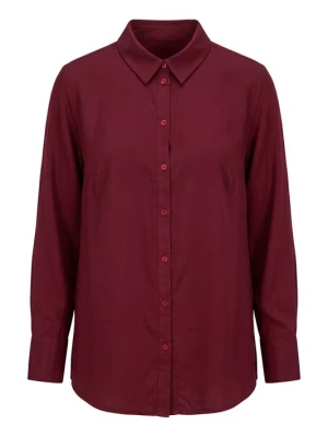 Foto van product Studio Untold Blouse donkerrood