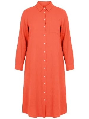 Foto van product Studio Untold Jurk kreeft