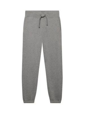 Foto van product Superdry & Co Broek 'ESSENTIAL' grijs gemêleerd