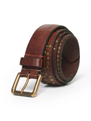 Foto van product Superdry & Co Riem bruin / goud