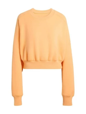 Foto van product Sweater Adidas oranje
