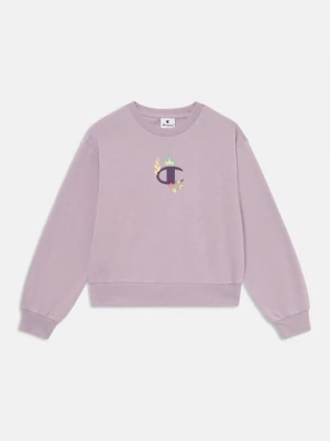 Foto van product Sweater Champion mauve
