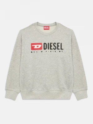 Foto van product Sweater Diesel grijs