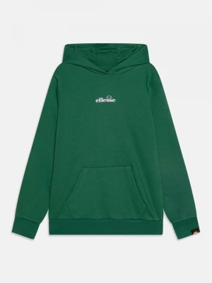 Foto van product Sweater Ellesse groen