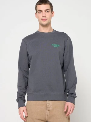 Foto van product Sweater Iceberg grijs