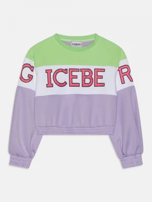Foto van product Sweater Iceberg lila