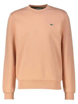 Foto van product Sweater Lacoste koraalrood