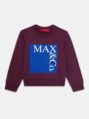 Foto van product Sweater MAX&Co. bordeauxrood
