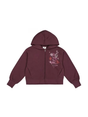 Foto van product Sweater met rits Champion donkerpaars
