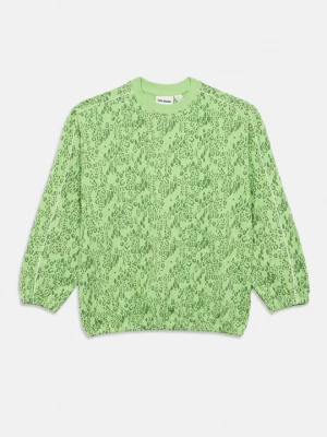 Foto van product Sweater Mini Rodini groen