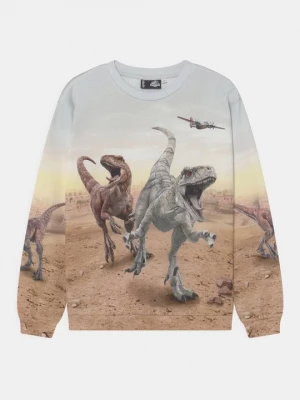Foto van product Sweater Molo bruin