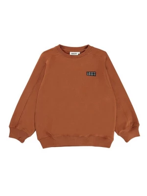 Foto van product Sweater Molo bruin