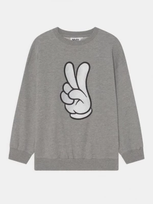 Foto van product Sweater Molo grijs