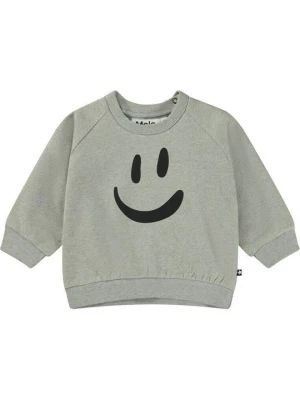 Foto van product Sweater Molo grijs