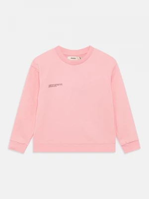 Foto van product Sweater PANGAIA roze