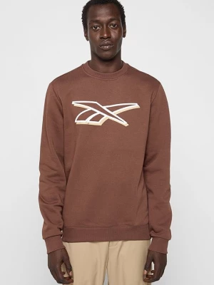 Foto van product Sweater Reebok bruin