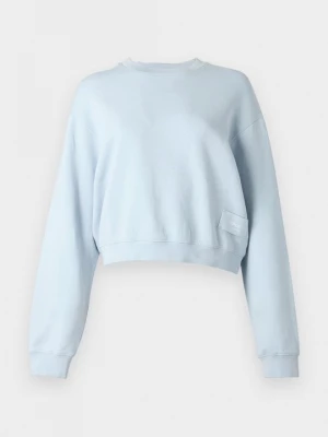 Foto van product Sweater Replay lichtblauw