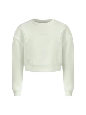 Foto van product Sweater Smilodox lichtgroen