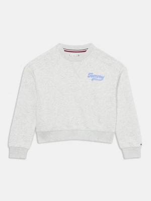 Foto van product Sweater Tommy Hilfiger grijs