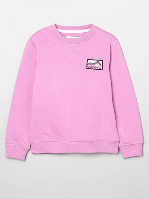Foto van product Sweater Viking lila