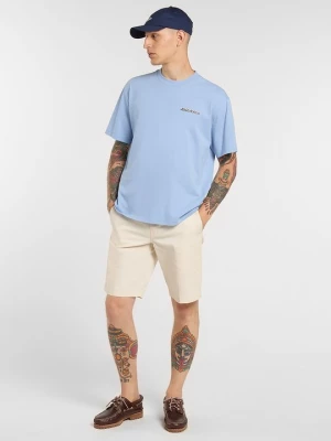 Foto van product T-shirt print Dickies lichtblauw