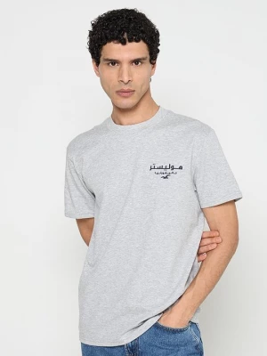Foto van product T-shirt print Hollister Co. grijs