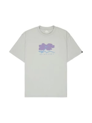 Foto van product T-shirt print Quiksilver grijs