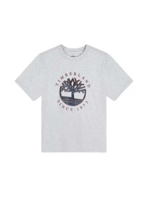 Foto van product T-shirt print Timberland grijs