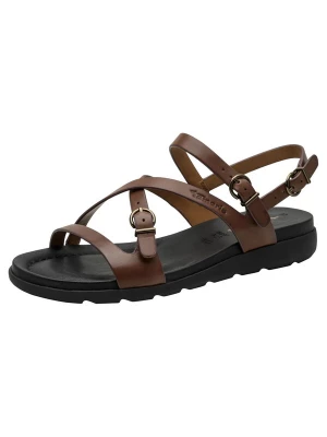 Foto van product Tamaris Sandalen met riem donkerbruin