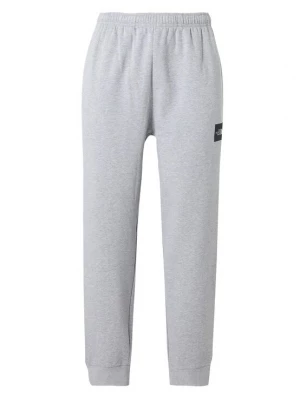 Foto van product THE NORTH FACE Broek 'EVO BOX HALF DOME' grijs gemêleerd / zwart