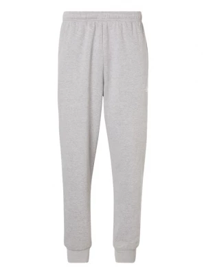 Foto van product THE NORTH FACE Broek 'EVOLUTION SIMPLE DOME' grijs gemêleerd
