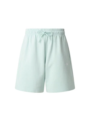Foto van product THE NORTH FACE Broek lichtblauw