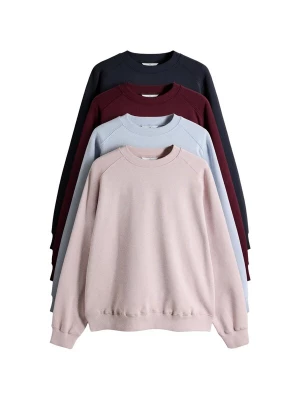 Foto van product The Set Sweatshirt pastelblauw / rosa / bourgogne