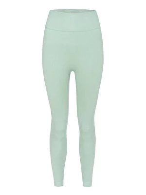 Foto van product Tights Carpatree groen