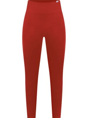 Foto van product Tights Smilodox bordeauxrood