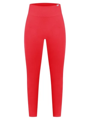 Foto van product Tights Smilodox rood