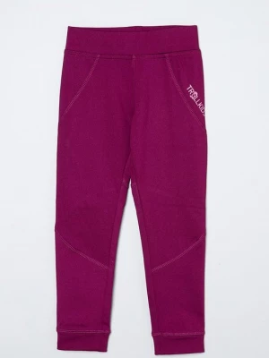 Foto van product Tights Trollkids lila