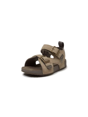 Foto van product TIMBERLAND Open schoenen '6B49' mokka