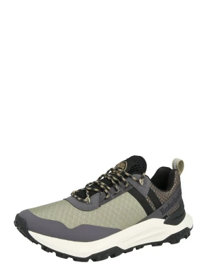 Foto van product TIMBERLAND Sneakers laag donkergrijs / kaki / zwart