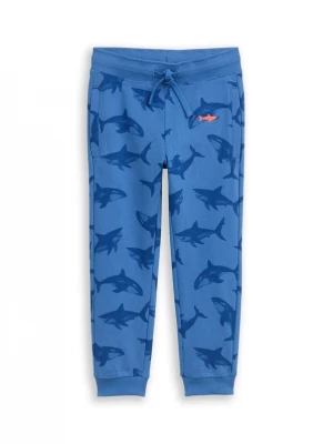 Foto van product TOM TAILOR Broek blauw / donkerblauw