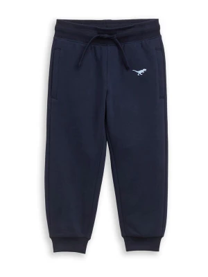 Foto van product TOM TAILOR Broek marine