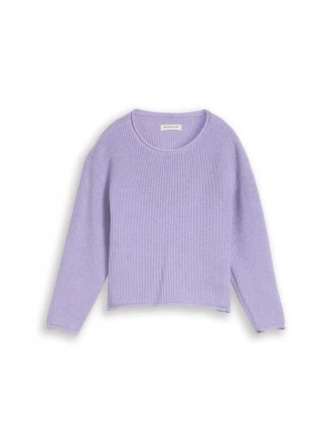 Foto van product TOM TAILOR Trui lavendel