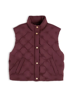 Foto van product TOMMY HILFIGER Bodywarmer wijnrood
