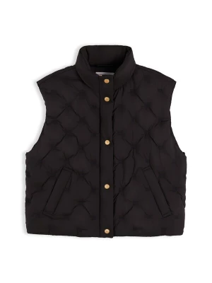 Foto van product TOMMY HILFIGER Bodywarmer zwart