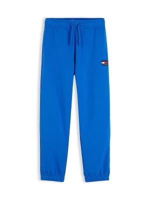 Foto van product TOMMY HILFIGER Broek blauw