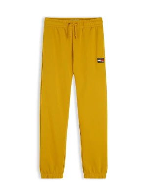 Foto van product TOMMY HILFIGER Broek curry