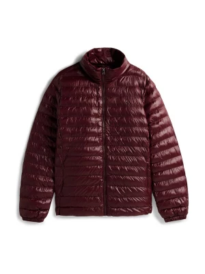 Foto van product TOMMY HILFIGER Tussenjas bourgogne