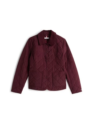 Foto van product TOMMY HILFIGER Tussenjas wijnrood